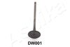 15DW001_1.JPG