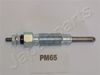 PM65_1.JPG