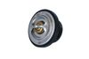 Termostat, chladivo 725216
