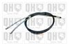 QH_BC3776.JPG
