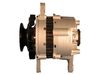 AG0611RB.JPG