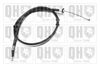 QH_BC3979.JPG