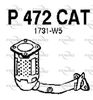 P472CAT.JPG