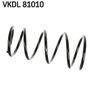 VKDL 81010.JPG