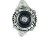 151499.JPG