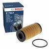 BOSCH Oil Filter F 026 407 317