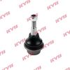 KYB-KBJ4319.JPG