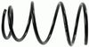 0032998766.JPG