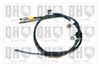 QH_BC3988.JPG