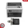 Sensor, Kraftstoffdruck