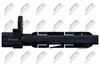 ECP-AU-038_3-WM.JPG