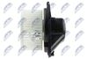 EWN-VW-004_3-WM.JPG