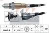 498 607-KW.JPG