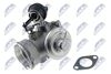 EGR-SE-000_2-WM.JPG