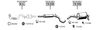 SE190460.BMP