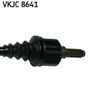 VKJC 8641_3.JPG