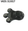 VKDS 313017.JPG