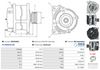 A0932(SEG)_256960.JPG