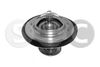31334.JPG