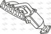 P788CAT.JPG