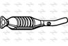 P235CAT.JPG