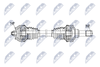 NPW-BM-228_9-WM.PNG