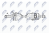 NPW-KA-388_9-WM.PNG