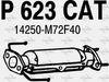 P623CAT.JPG