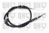 QH_BC3530.JPG