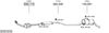 SYS17218.JPG