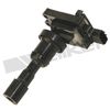 921-2164_1.JPG