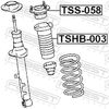 TSS-058_1.JPG
