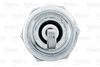 VALEO_SPARK_PLUG_246888_03.JPG