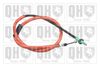 QH_BC4035.JPG