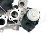 egr_138457_5.JPG