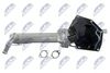 egr-vw-023_5-wm.JPG