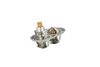 Termostat, chladivo 725393