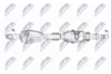 NPW-NS-172_9-WM.PNG
