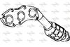 P9621CAT.JPG