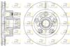 62020-10-MODEL.BMP