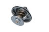 Termostat, chladivo 725100