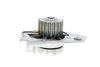162_V22-50008.ZIP