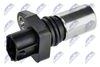 ECP-TY-015_2-WM.JPG
