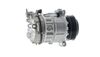  ACP536000P