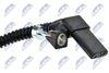 ECP-PL-019_2-WM.JPG