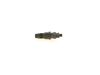 Bosch Nozzle and Holder Assembly 0432217310