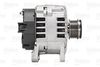 ALTERNATOR_437361_03.JPG