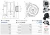 A0071(SEG)_256960.JPG