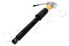 MJAS254_1.JPG