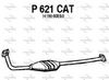 P621CAT.JPG